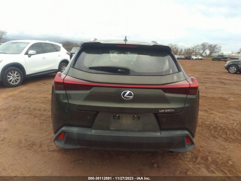 2019 LEXUS UX 250H JTHY6JBHXK2031255