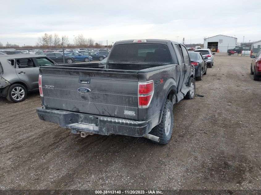 2013 FORD F-150 STX - 1FTEX1EM7DKE34655