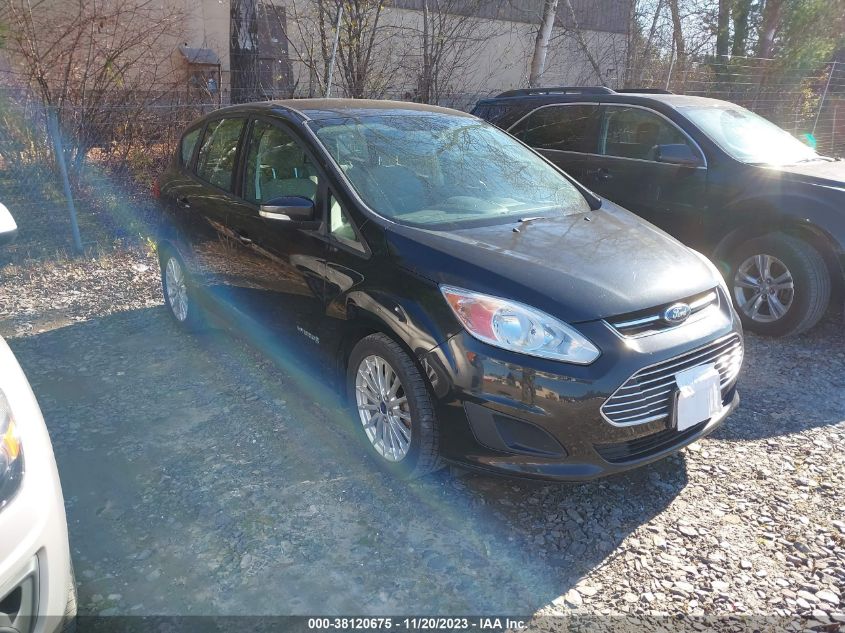 2014 FORD C-MAX HYBRID SE - 1FADP5AU2EL519333