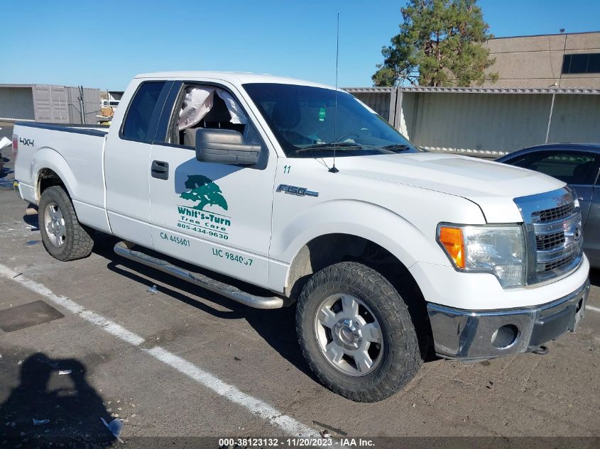 2013 FORD F-150 XLT - 1FTFX1EF8DKD10156