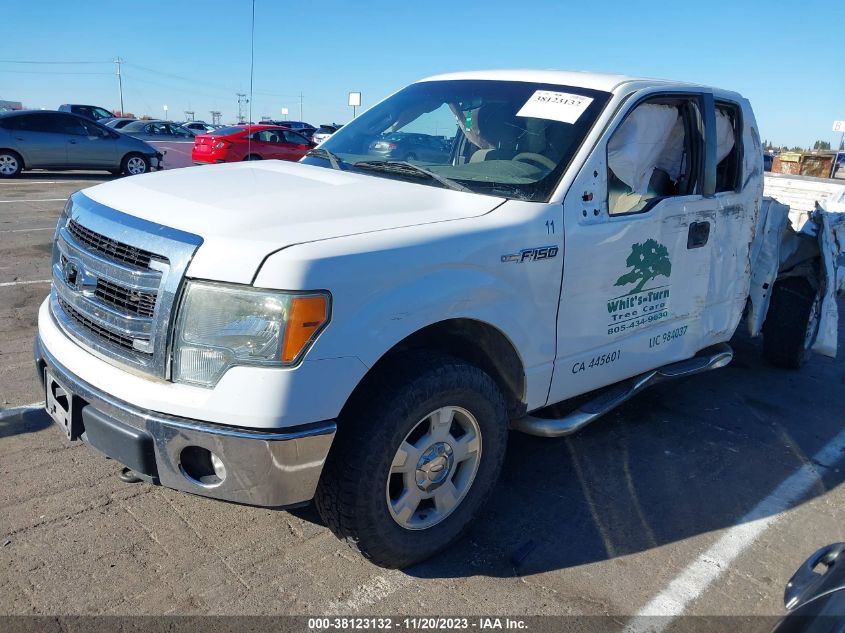 2013 FORD F-150 XLT - 1FTFX1EF8DKD10156