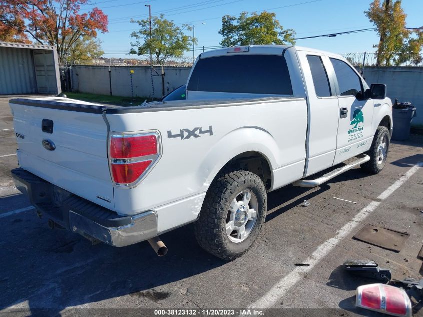 2013 FORD F-150 XLT - 1FTFX1EF8DKD10156