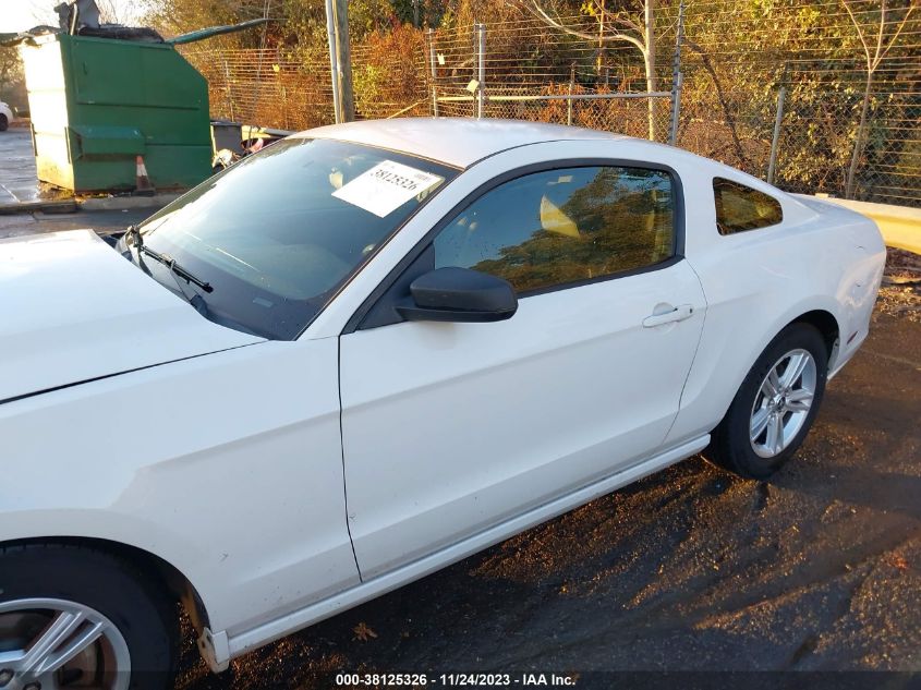 2014 FORD MUSTANG V6 - 1ZVBP8AM7E5230842