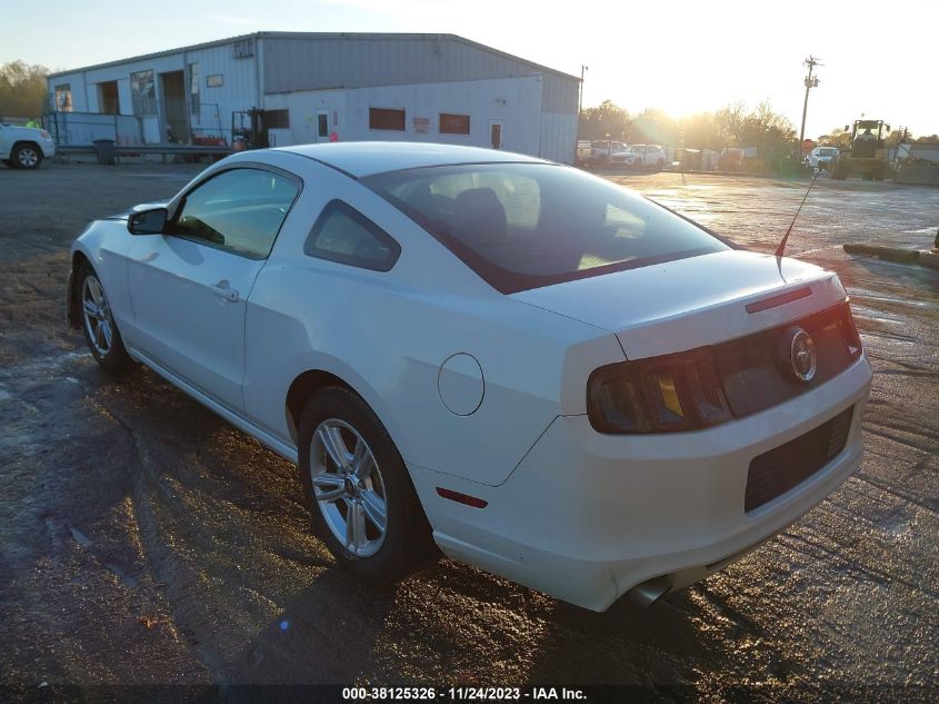 2014 FORD MUSTANG V6 - 1ZVBP8AM7E5230842