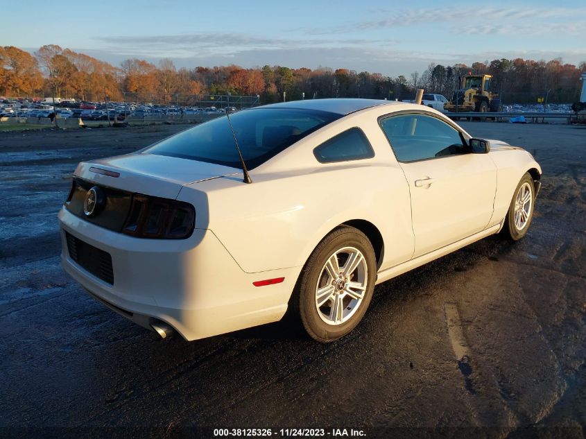 2014 FORD MUSTANG V6 - 1ZVBP8AM7E5230842