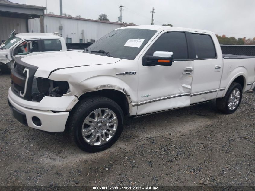 2014 FORD F-150 PLATINUM - 1FTFW1CT2EFA86145