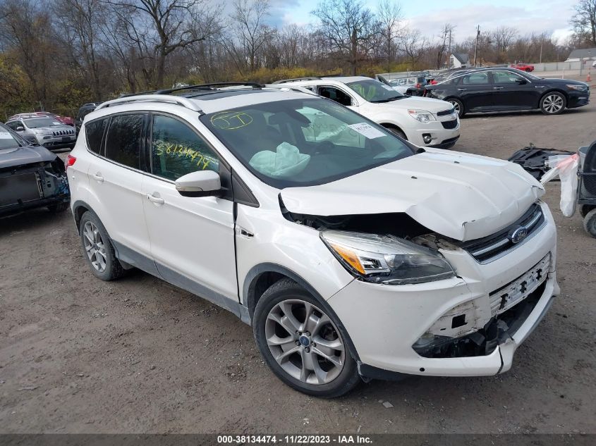 2014 FORD ESCAPE TITANIUM - 1FMCU9J91EUA52087