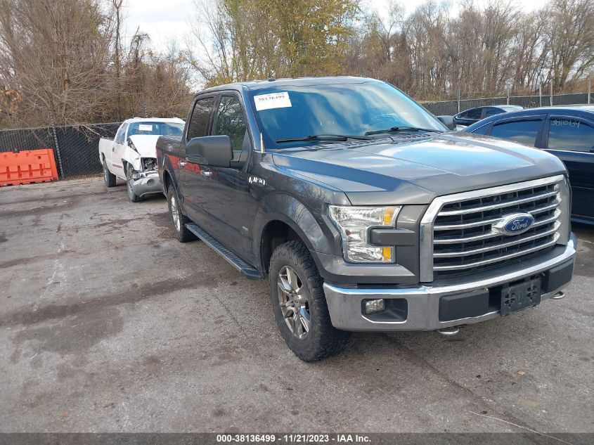 2015 FORD F-150 XLT - 1FTEW1EP0FFA21288