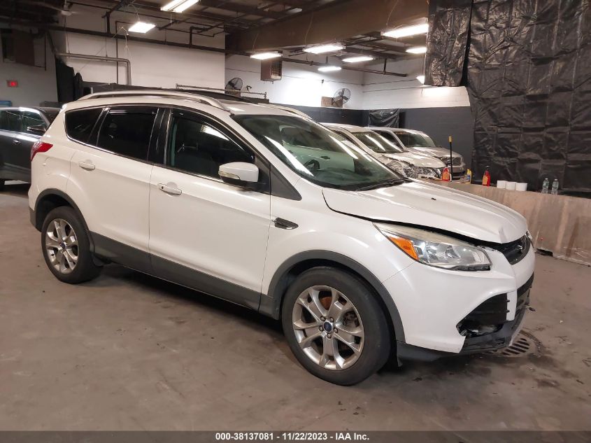 2014 FORD ESCAPE TITANIUM - 1FMCU9J95EUA88378