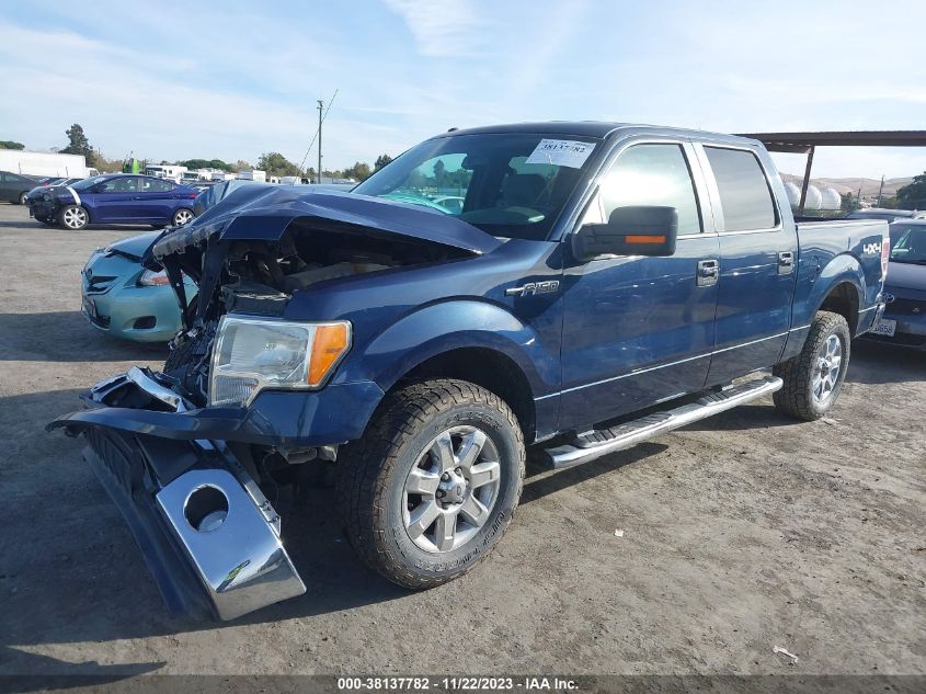 2013 FORD F-150 XLT - 1FTFW1EF7DKE24040