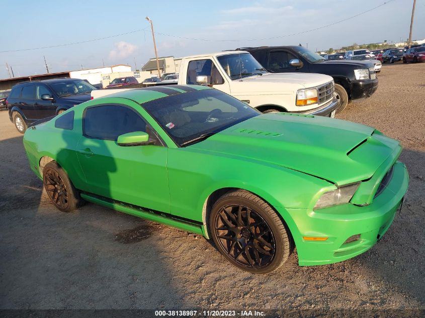 2013 FORD MUSTANG V6 - 1ZVBP8AM0D5220796