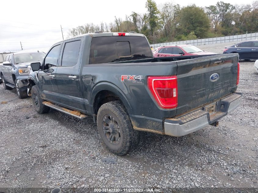 2021 FORD F-150 XLT - 1FTFW1E59MKE34527