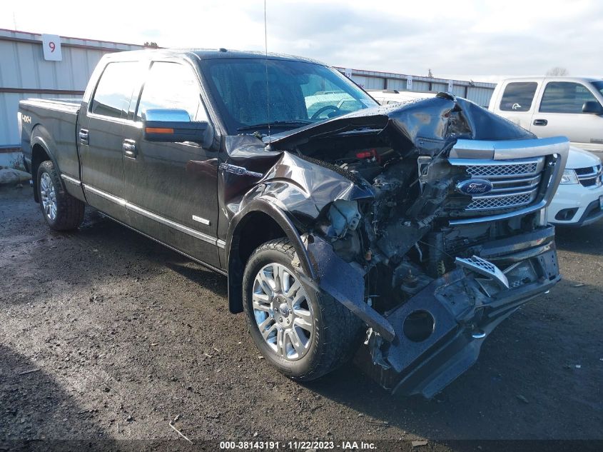 2013 FORD F-150 PLATINUM - 1FTFW1ET0DFC01109