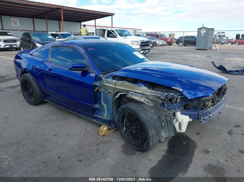 2013 FORD MUSTANG GT - 1ZVBP8CF8D5284356