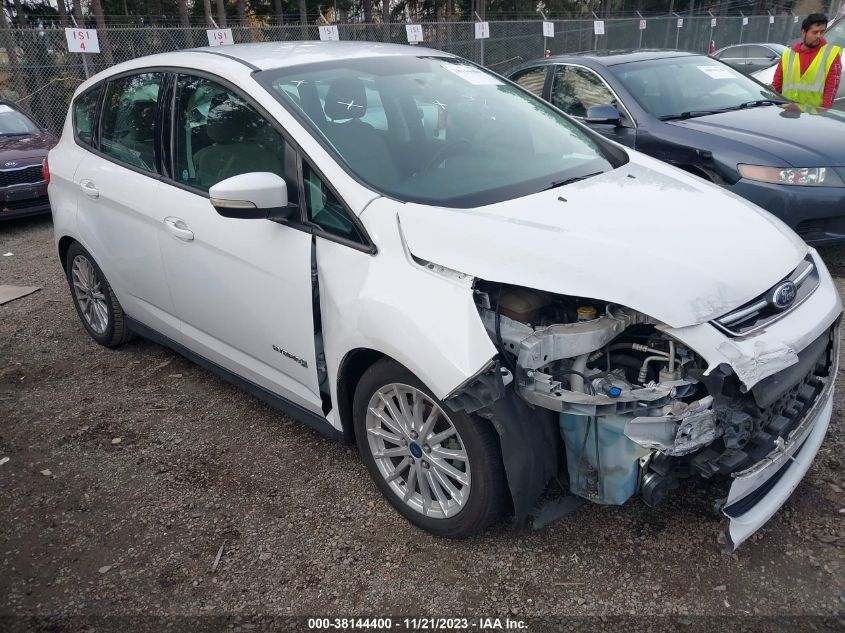 2014 FORD C-MAX HYBRID SE - 1FADP5AU4EL514389