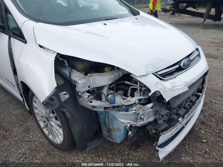 2014 FORD C-MAX HYBRID SE - 1FADP5AU4EL514389