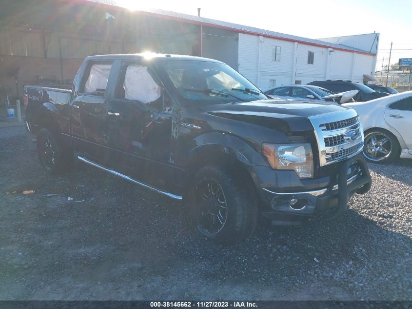 2014 FORD F-150 XLT - 1FTFW1EF0EFC84469