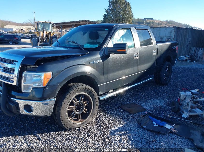 2014 FORD F-150 XLT - 1FTFW1EF0EFC84469