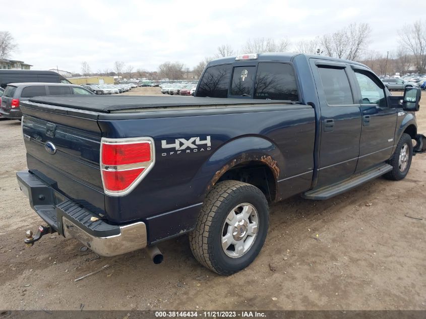 2013 FORD F-150 XLT - 1FTFW1ET4DKD91715