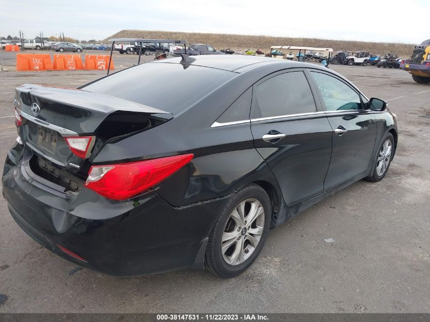 2013 HYUNDAI SONATA LIMITED - 5NPEC4AC7DH639210