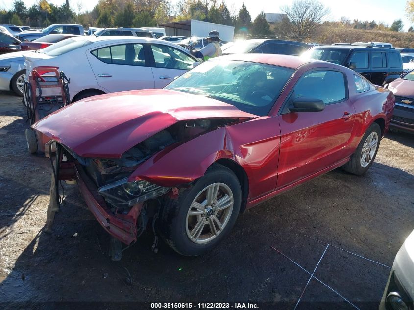 2014 FORD MUSTANG - 1ZVBP8AM3E5288107