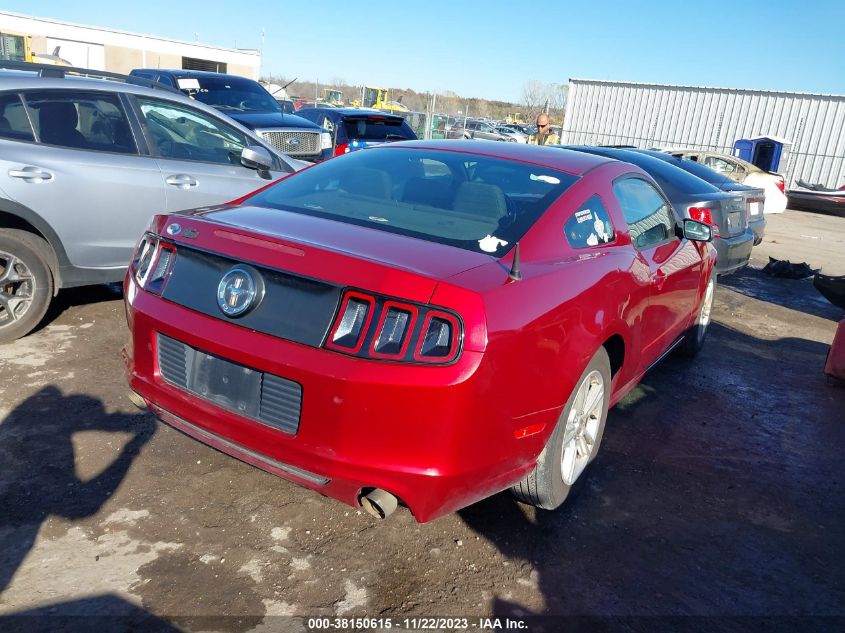 2014 FORD MUSTANG - 1ZVBP8AM3E5288107