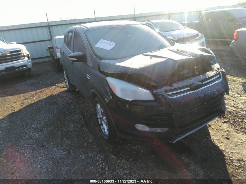 2013 FORD ESCAPE SEL - 1FMCU0H95DUA54196