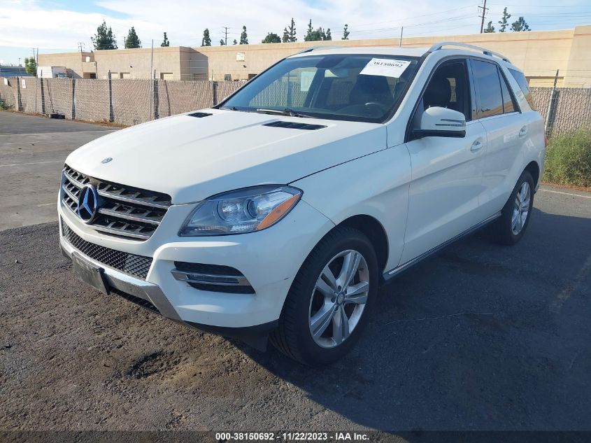 2013 MERCEDES-BENZ ML 350 - 4JGDA5JB8DA250139