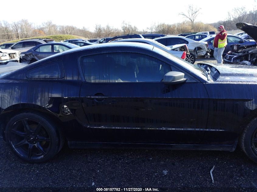 2013 FORD MUSTANG V6 - 1ZVBP8AMXD5270914