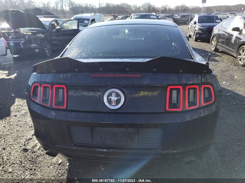 2013 FORD MUSTANG V6 - 1ZVBP8AMXD5270914