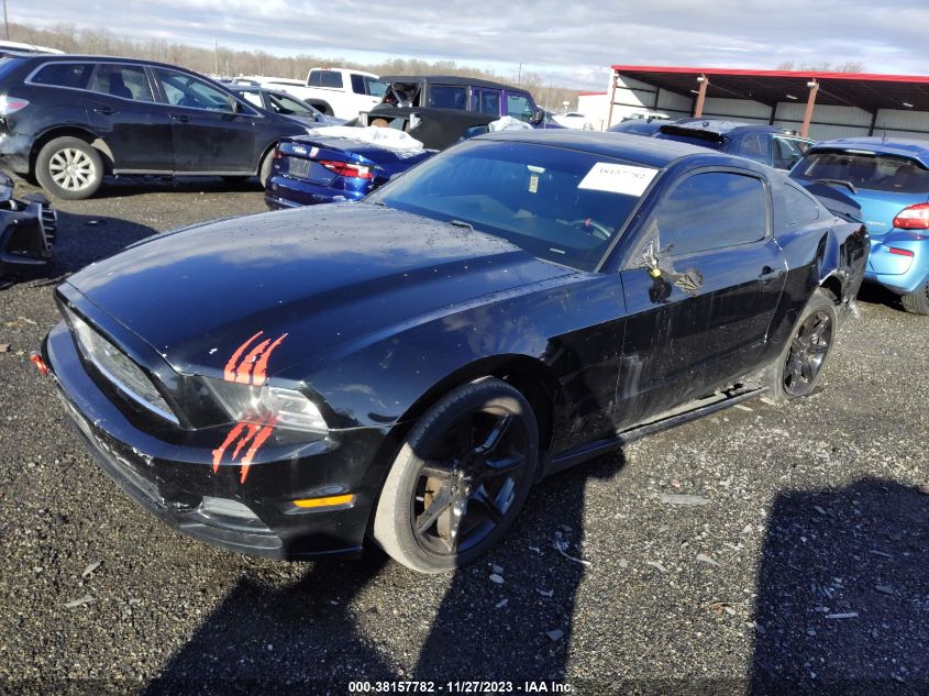 2013 FORD MUSTANG V6 - 1ZVBP8AMXD5270914