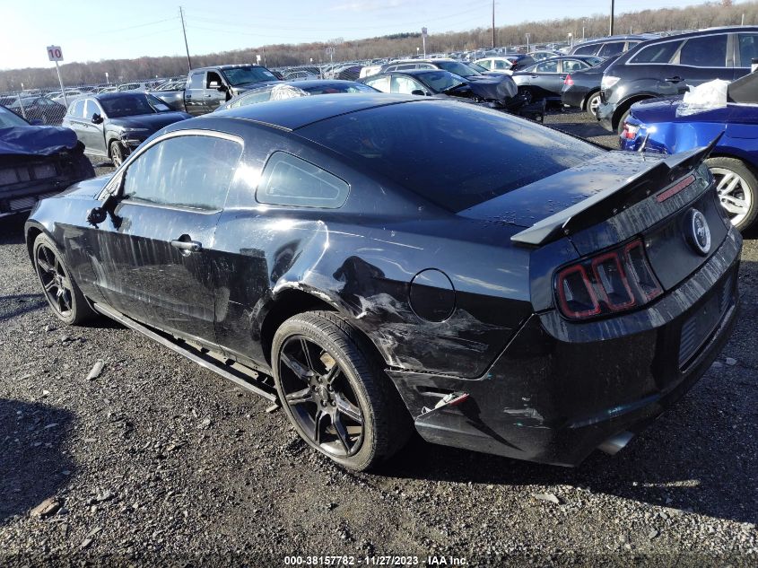 2013 FORD MUSTANG V6 - 1ZVBP8AMXD5270914