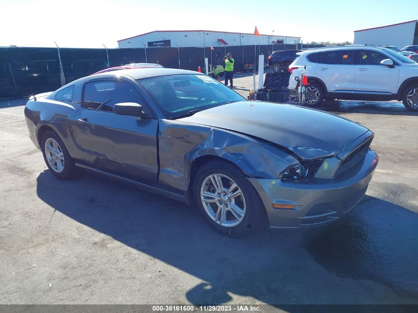 2013 FORD MUSTANG V6 - 1ZVBP8AM7D5280932