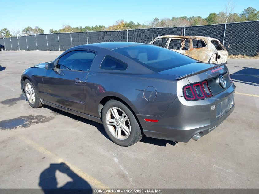 2013 FORD MUSTANG V6 - 1ZVBP8AM7D5280932