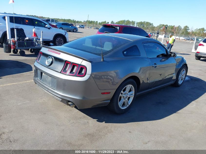 2013 FORD MUSTANG V6 - 1ZVBP8AM7D5280932