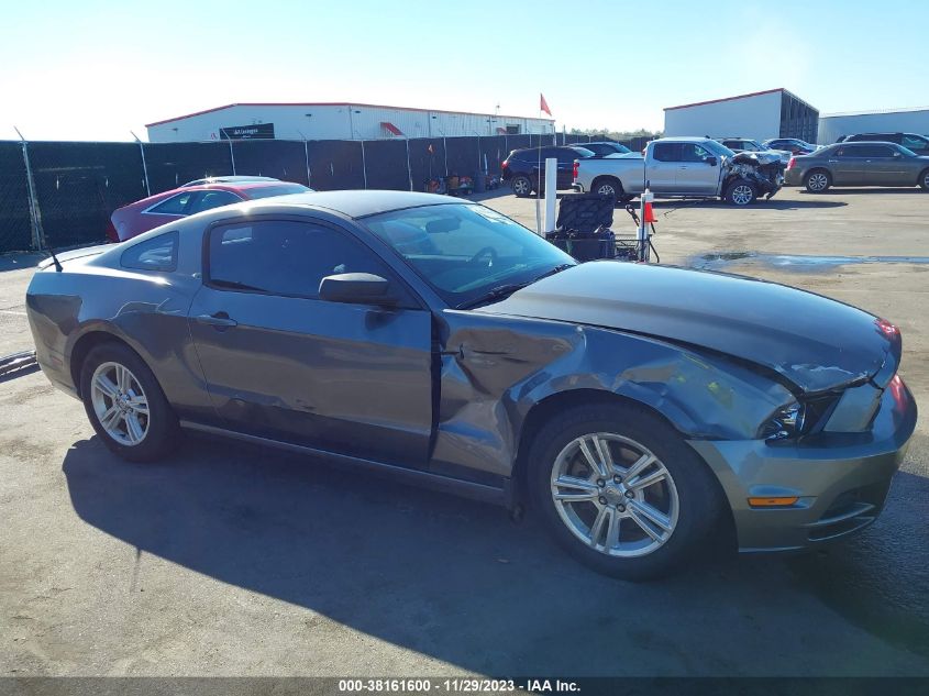 2013 FORD MUSTANG V6 - 1ZVBP8AM7D5280932