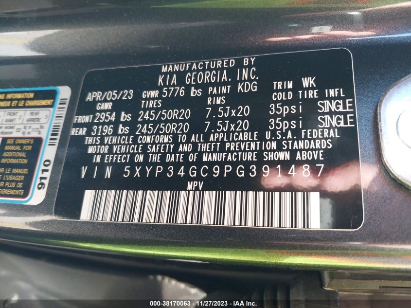 2023 KIA TELLURIDE EX - 5XYP34GC9PG391487