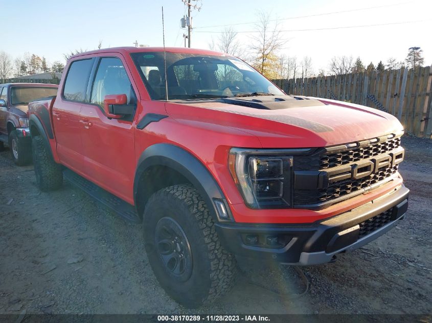 2023 FORD F-150 RAPTOR - 1FTFW1RG4PFB17389