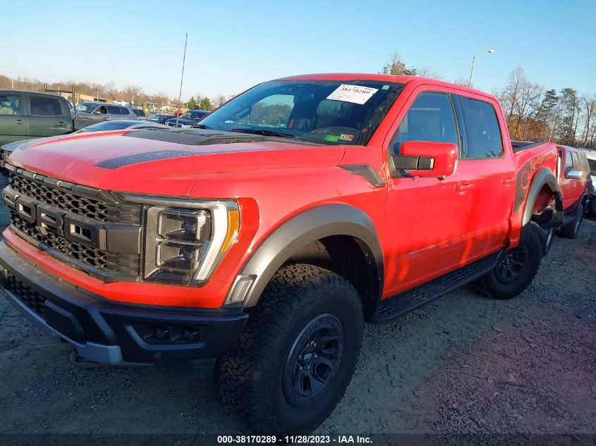 2023 FORD F-150 RAPTOR - 1FTFW1RG4PFB17389