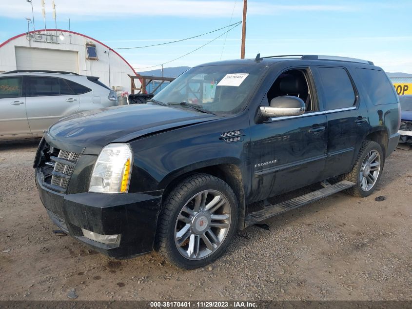 2013 CADILLAC ESCALADE PREMIUM - 1GYS4CEF8DR103013