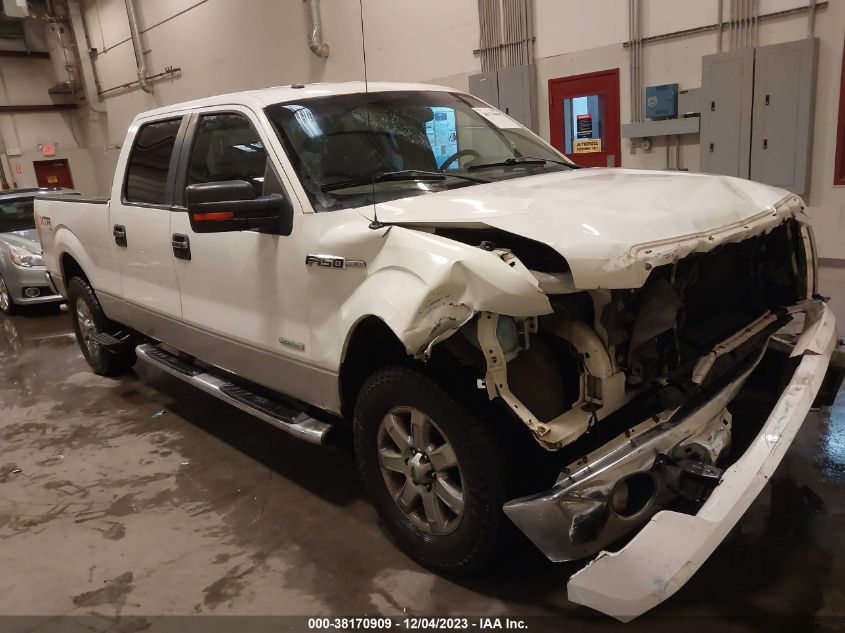 2013 FORD F-150 XLT - 1FTFW1ET8DFC59839