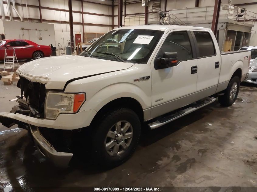 2013 FORD F-150 XLT - 1FTFW1ET8DFC59839