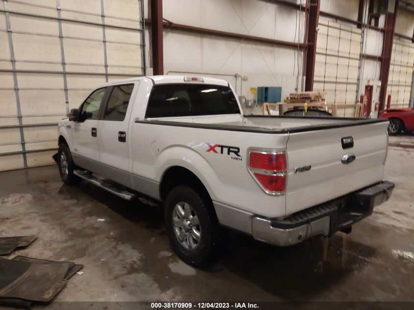 2013 FORD F-150 XLT - 1FTFW1ET8DFC59839