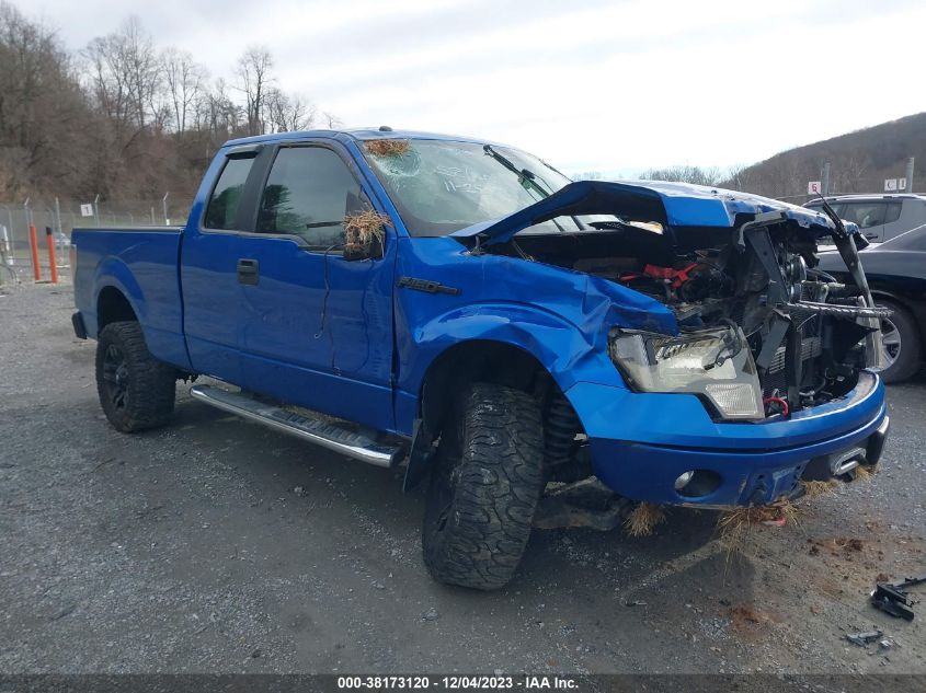 2013 FORD F-150 STX - 1FTFX1EF2DFD79014