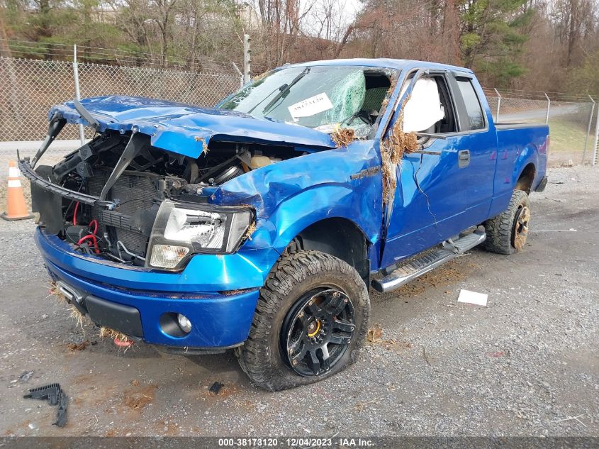 2013 FORD F-150 STX - 1FTFX1EF2DFD79014