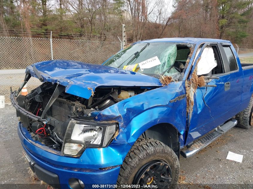 2013 FORD F-150 STX - 1FTFX1EF2DFD79014