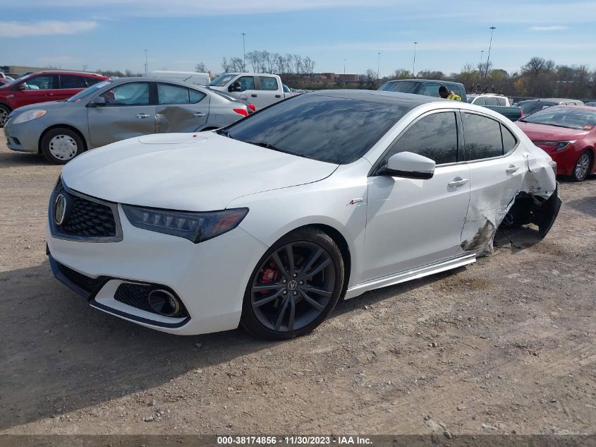 2019 ACURA TLX TECH   A-SPEC PKGS - 19UUB2F65KA005938
