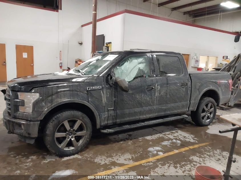 2015 FORD F-150 XLT - 1FTEW1EP1FFA92791