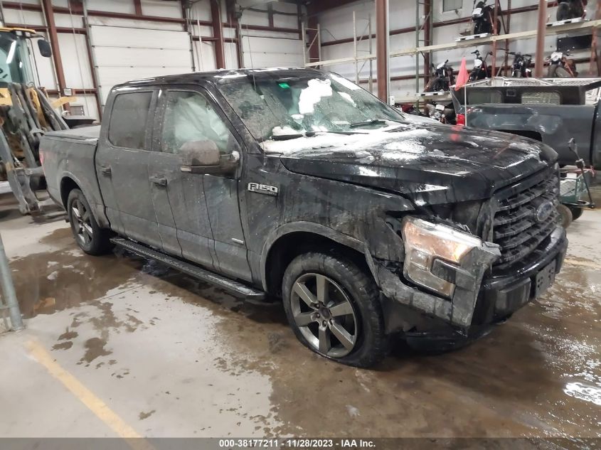 2015 FORD F-150 XLT - 1FTEW1EP1FFA92791