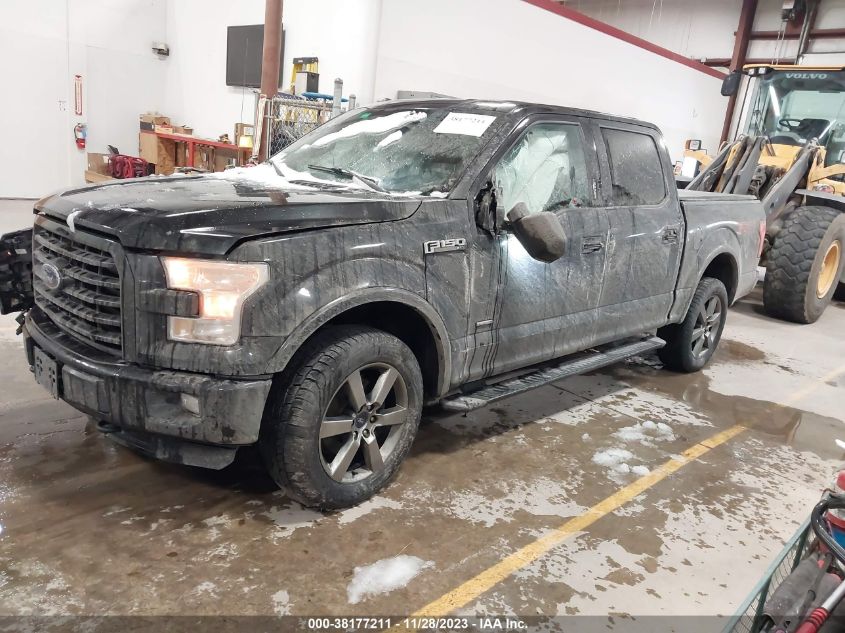 2015 FORD F-150 XLT - 1FTEW1EP1FFA92791